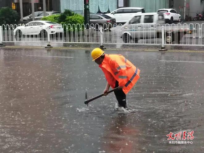 树根粉碎机束丝机绞线机鼠标垫薯树苗条机鼠